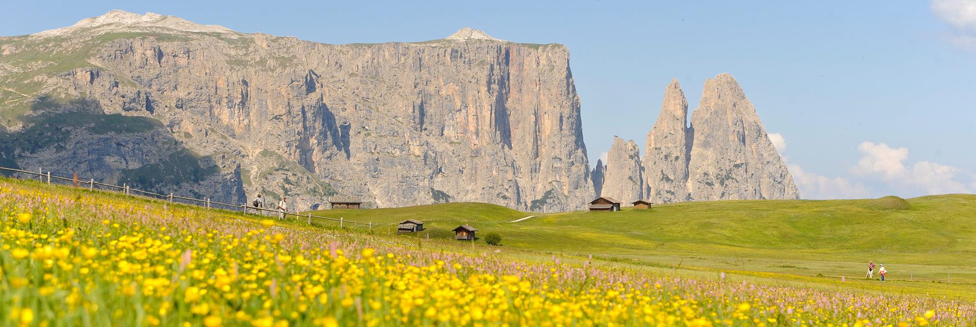 The Seiser Alm and the Schlern massif in summer